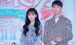 娱乐圈吃瓜大本营,揭秘“吃瓜大本营”背后的风云变幻