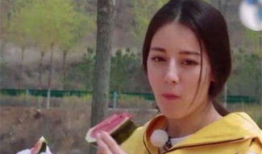 娱乐圈吃瓜杨幂鹿晗,杨幂鹿晗瓜田乱舞，揭秘幕后真相