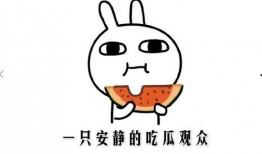 网络上吃瓜是什么意思,吃瓜群众的趣味解读